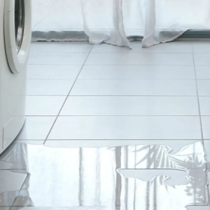 Appliance Leak Cleanup in Saint Joseph, MN